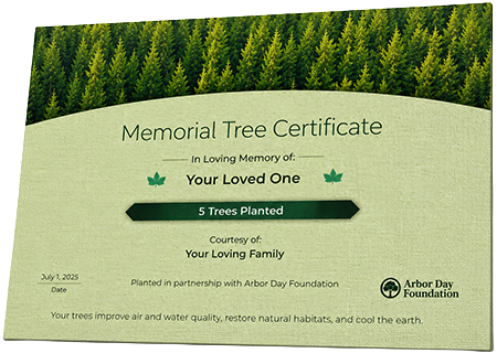 Plant Trees in Memory of Sherwin Lafleur